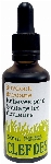 Clef des champs Bardane 50ml