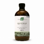 Health First Chlorophylle saveur menthe 500ml