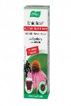 A.Vogel Boisson chaude Echinaforce 100ml